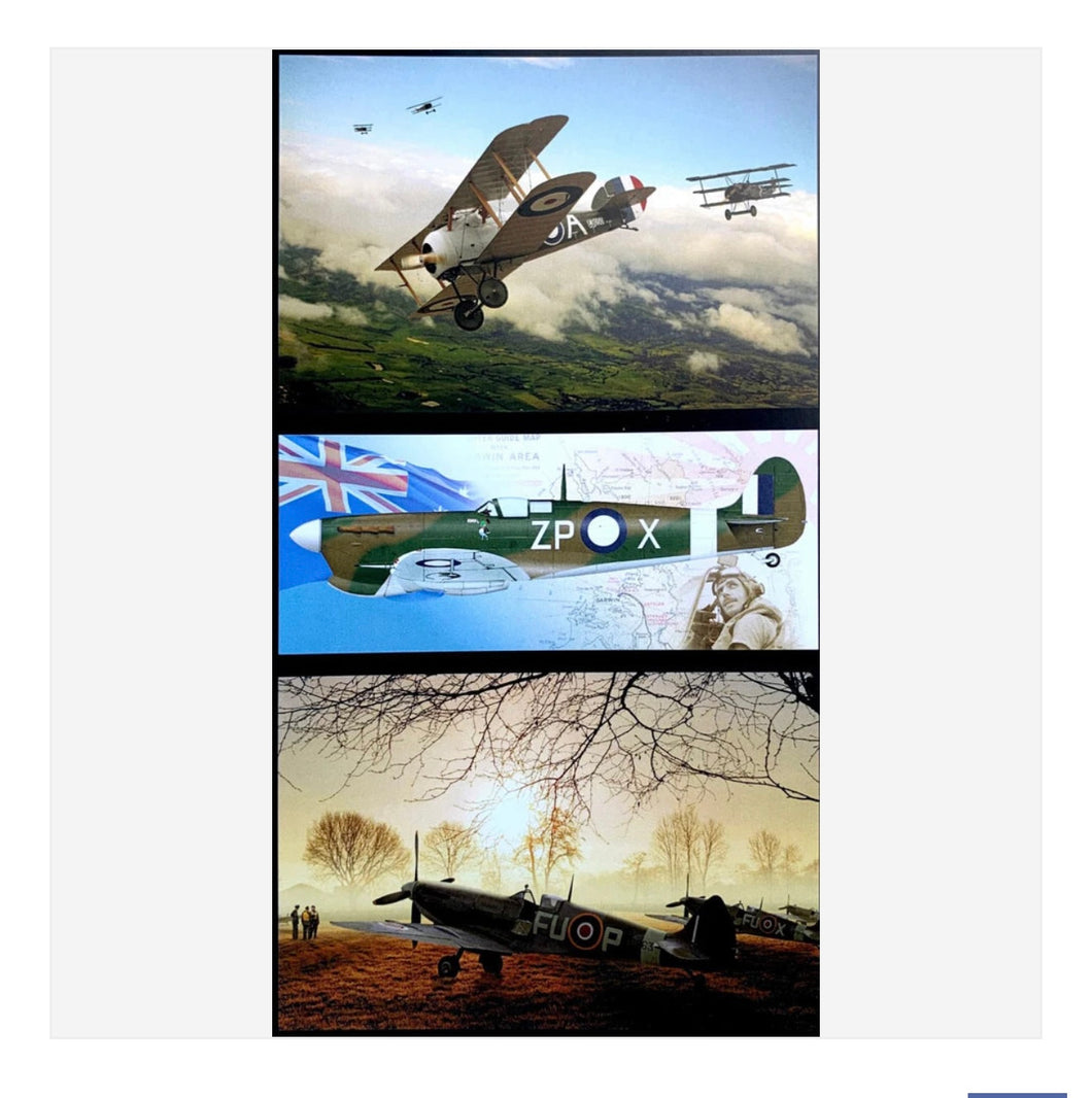 Hangar 7 Aviation Art - quilting panels - 100% cotton